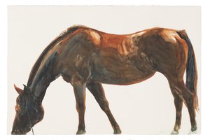 Sin título, 2018 (acuarela sobre papel) de Michael Frith