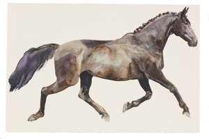 Sin título, 2018 (acuarela sobre papel) de Michael Frith