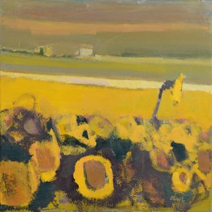 Girasoles cerca de Puymirol, 2017 (óleo sobre lino)