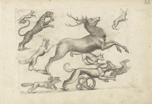Hoja de estudio con ejemplos de dibujos: varios animales de Michael Snijders (attributed to)