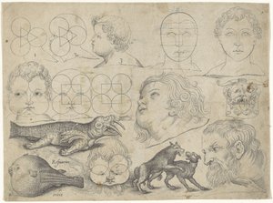 Hoja de estudio con ejemplos de dibujo: figuras, animales
Ejemplos de dibujos (título de la serie) de Michael Snijders