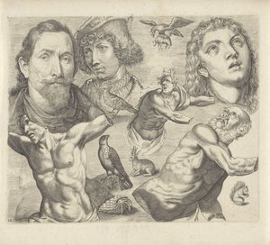 Hoja de estudio con ejemplos de dibujo: cabezas, torso y animales
Ejemplos de dibujos (título de la serie)