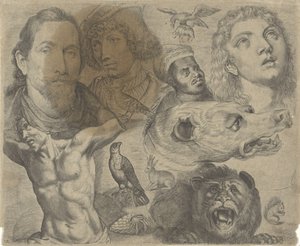 Hoja de estudio con ejemplos de dibujo: cabezas, torso y animales
Ejemplos de dibujos (título de la serie) de Michael Snijders