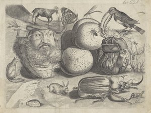 Hoja de estudio con ejemplos de dibujo: retratos, animales, insectos
Ejemplos de dibujos (título de la serie)
