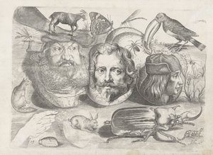 Hoja de ejercicios con ejemplos de dibujo: retratos, animales, insectos
