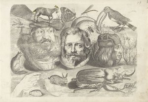 Hoja de ejercicios con ejemplos de dibujo: retratos, animales, insectos