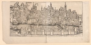 Crónica de Núremberg: Vista topográfica de Basilea, Suiza