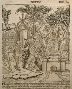 Adán y Eva, ilustración del 