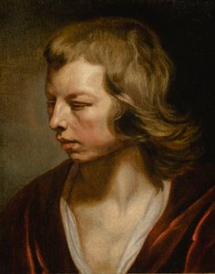 Estudio de un niño de Michaelina Wautier