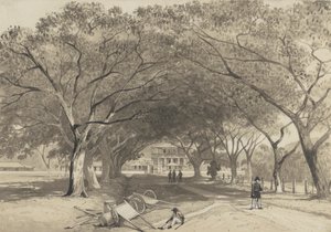 Avenida y entrada al cuartel de St. James de Michel Jean Cazabon