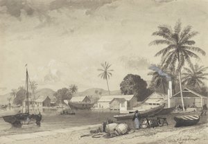 Ciudad de Corbeaux, Puerto España de Michel Jean Cazabon