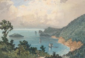 Costa norte de Trinidad, desde el puesto norte de Michel Jean Cazabon