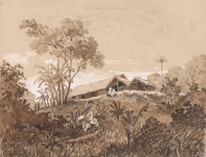 La cabaña, Monte Tamana de Michel Jean Cazabon