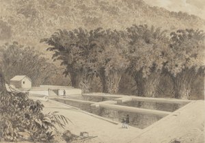 El embalse de Maraval de Michel Jean Cazabon