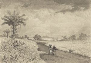 El camino hacia el lago Pitch