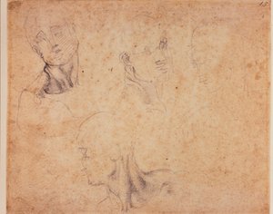Cuatro estudios de cabezas masculinas de Michelangelo (after) Buonarroti