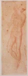 Estudios sobre el desnudo masculino