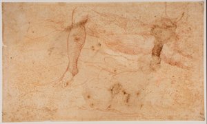 Estudios de desnudos de Michelangelo (after) Buonarroti