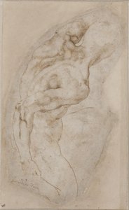 Un joven arrodillado visto desde atrás de Michelangelo Buonarroti