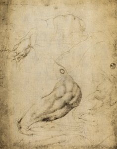 Estudio anatómico de Michelangelo Buonarroti