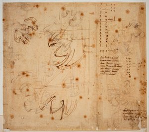 Estudios y recuentos de autógrafos