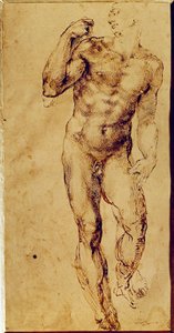 Estudio de hombre desnudo de pie de Michelangelo Buonarroti