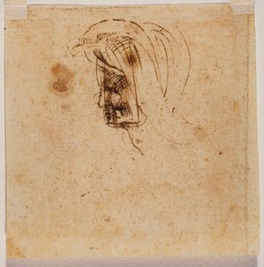 Cabeza de mujer de Michelangelo Buonarroti