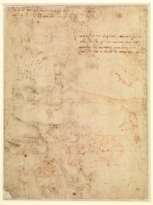 Estudio de figura