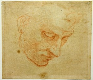 Estudio de cabeza para el techo de la Capilla Sixtina, ca 1509-1510 de Michelangelo Buonarroti