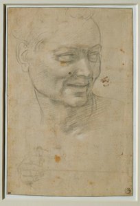Cabeza y mano derecha del Ignudo arriba y a la izquierda de Isaías de Michelangelo Buonarroti