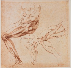 Estudios sobre las piernas de Michelangelo Buonarroti