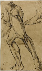 Piernas y pies de desnudo masculino de Michelangelo Buonarroti
