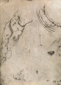 Piernas masculinas, estudio