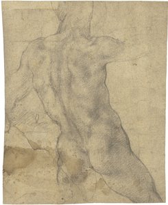 Desnudo masculino de Michelangelo Buonarroti