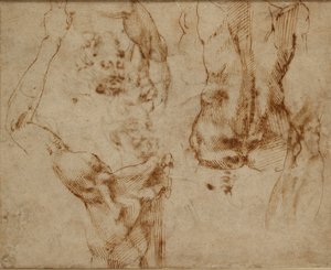 Estudios de desnudos, c1490-1560 de Michelangelo Buonarroti