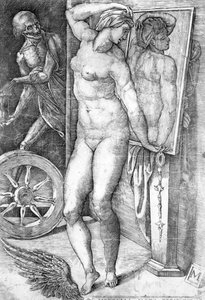 Desnudo mirándose en un espejo