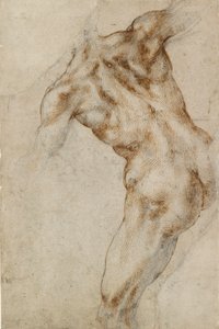Torso masculino desnudo, principios del siglo XVI