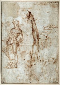 Estudio de desnudo. Michelangelo Buonarroti conocido como Miguel Ángel de Michelangelo Buonarroti
