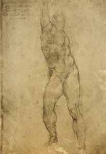Estudio de desnudo, dibujo de Miguel Ángel. Gallerie dell