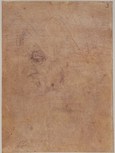Perfil de una anciana de Michelangelo Buonarroti