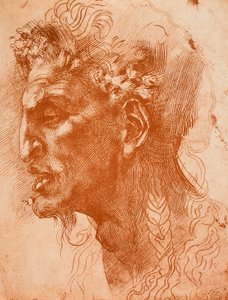 Cabeza de sátiro; dibujo de Miguel Ángel. El Louvre, París de Michelangelo Buonarroti