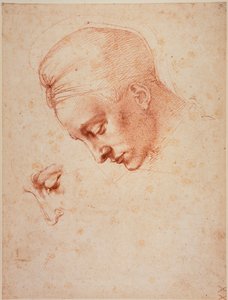 Estudios para la cabeza de "Leda de Michelangelo Buonarroti