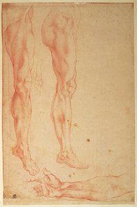 Estudios de piernas y brazos
