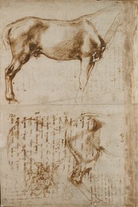 Estudios de un caballo y de un jinete atacando a soldados de infantería, principios del siglo XVI de Michelangelo Buonarroti