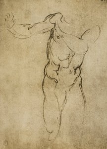 Estudio para un busto masculino de Michelangelo Buonarroti