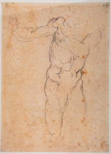 Estudio para el Adán de la "Expulsión de Pardiso" en la Capilla Sixtina de Michelangelo Buonarroti