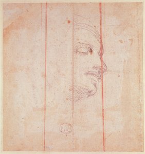 Estudio para la Cabeza de la Sibila Libia (tiza negra sobre papel) (verso) de Michelangelo Buonarroti