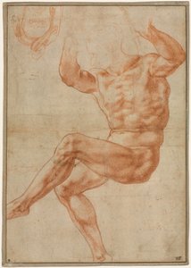 Estudio para el joven desnudo sobre el profeta Daniel (recto)