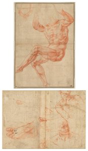 Estudio para el Joven Desnudo sobre el Profeta Daniel (recto); Estudios de Figuras para el Techo de la Capilla Sixtina (verso) de Michelangelo Buonarroti