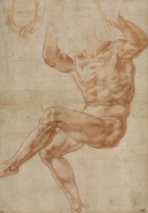 Estudio para el Joven Desnudo sobre el Profeta Daniel, para el techo de la Capilla Sixtina, 1510-11
